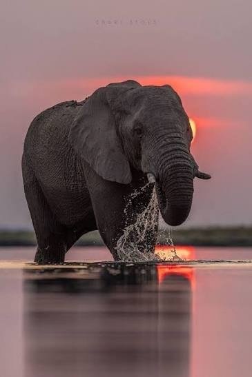 SOUTH AFRICA
